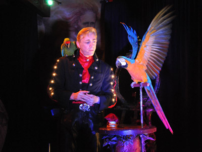 Hervé Listeur magicien et son dressage perroquets